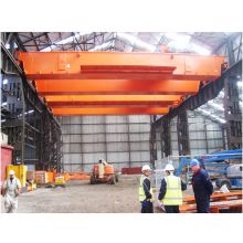 WEIHUA Double Girder Overhead Crane with Electric Hoist